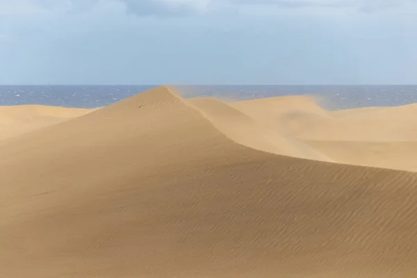 Wind Changing Shape Golden Desert Dunes Maspalomas Gran Canaria Island — Stock Photo, Image