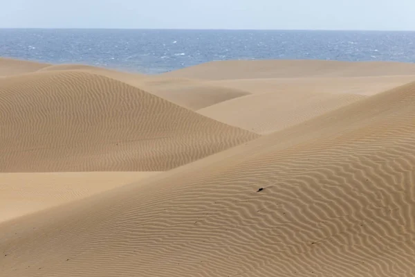 Dune Desertiche Sabbia Che Cambiano Forma Colore Causa Del Vento — Foto Stock