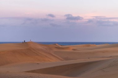 Büyük Kanarya, İspanya. 5 Ekim 2020. Maspalom kumulları gün batımında mavi okyanus ve mor gökyüzü arka planda