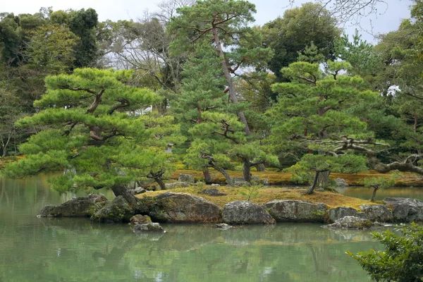 Japanischer Garten im Frühherbst, Kyoto. — Stockfoto