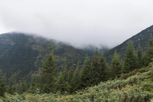 Fin utsikt från berget — Stockfoto