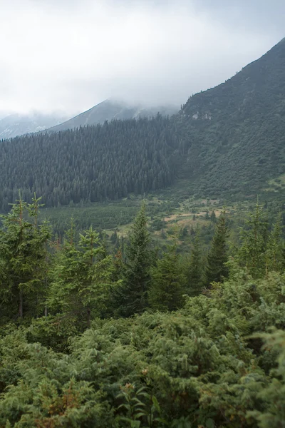 Fin utsikt från berget — Stockfoto