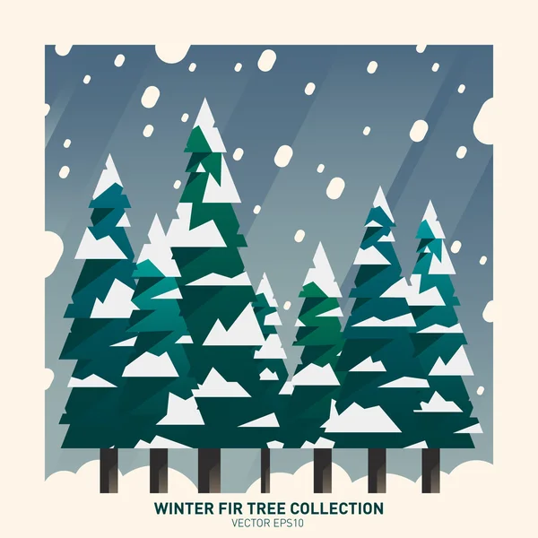 冬のモミの木のコレクション — ストックベクタ