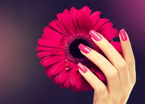 Female pink manicure — Stock Photo, Image