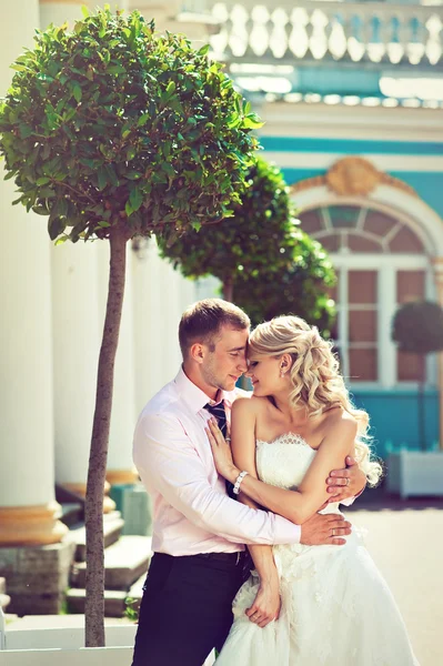 Vőlegény csók a menyasszonyt — Stock Fotó