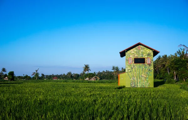 Maison de couleur vive sur une terrasse de riz Photo De Stock