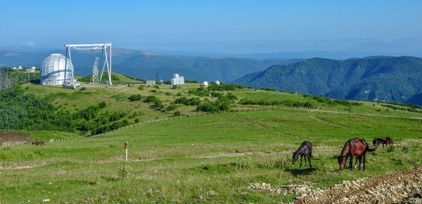 Telescopio en las montañas del Cáucaso. En el primer plano caballos pastando hierba —  Fotos de Stock