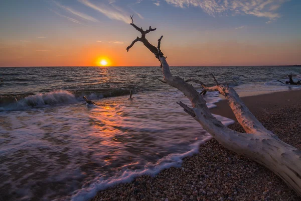 Východ slunce na pobřeží Azovského moře — Stock fotografie