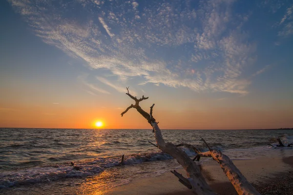 Východ slunce na moři — Stock fotografie