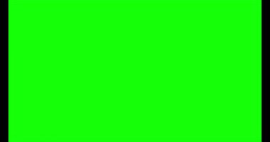 Kağıt Para Canlandırma Simgesi. Yeşil Ekran Canlandırma Simgesi.