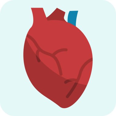 Kalp yassı ikon. Vektör İllüzyonu. Kardiyo Anatomi İllüstrasyon Vektörü.