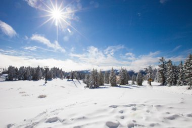 Kar ağaçlar kış kep.