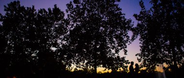 Çift Silhouetted gün batımında büyük ağaçlar öpüşme