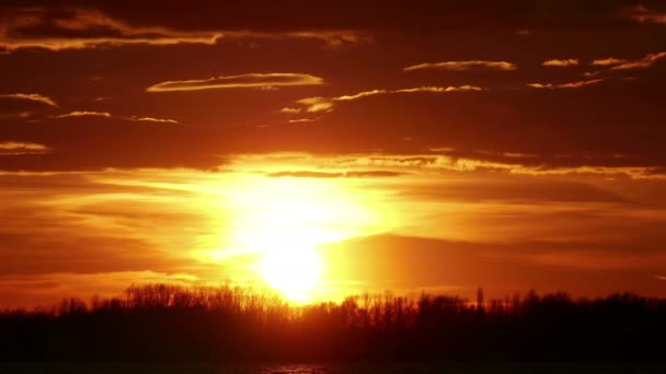 Coucher de soleil rouge sur les arbres — Video