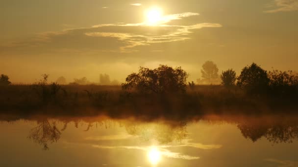 Nebbia al tramonto 5 — Video Stock