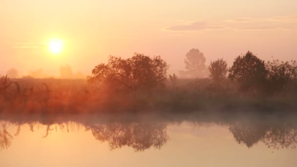 Niebla al atardecer 6 — Vídeos de Stock