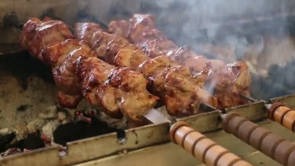 Shish Kebab Prepares On Coals — Stock Video