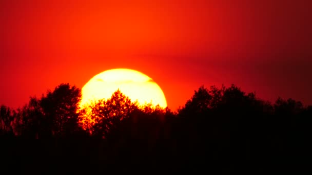 Sol grande con cielo naranja — Vídeos de Stock