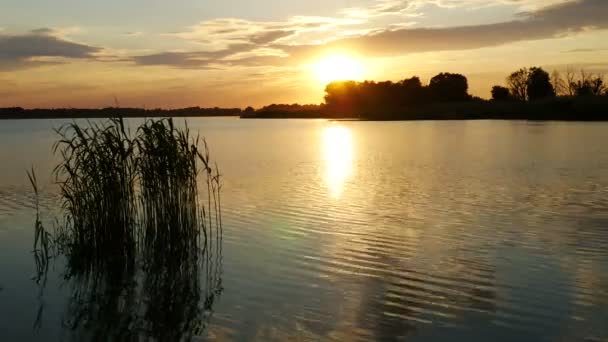 Coucher de soleil couleur sur la rivière — Video