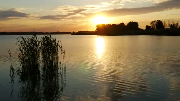 Cor Pôr-do-sol sobre o rio — Vídeo de Stock