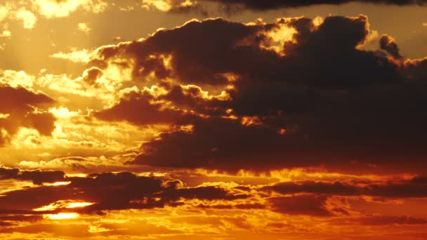 Sol grande con cielo naranja — Vídeos de Stock