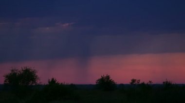 Ormanda günbatımı sis