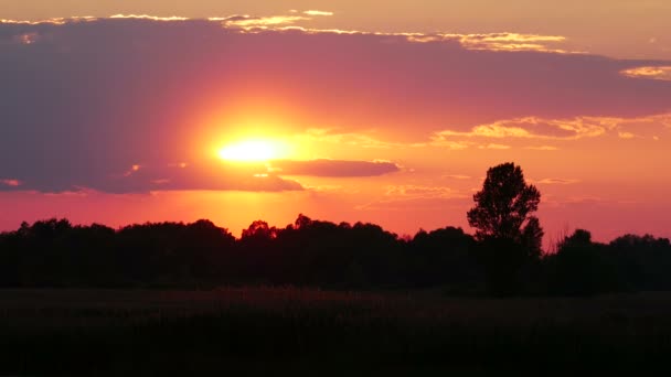 Coucher de soleil couleur sur la rivière — Video