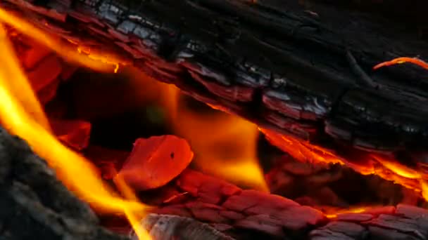 Echte brand vlam — Stockvideo