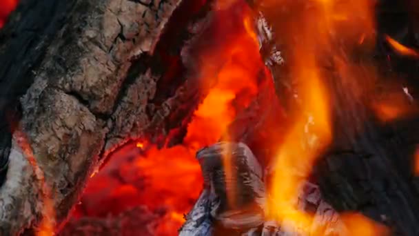 뜨거운 석탄 모닥불 — 비디오