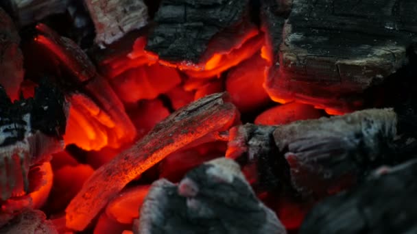 Гарячі вугілля багаття — стокове відео