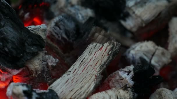 Heißes Kohle-Lagerfeuer — Stockvideo