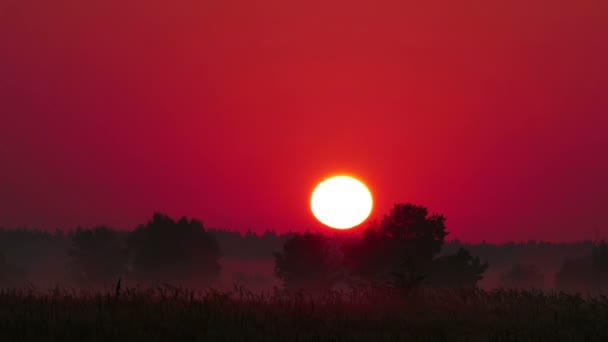 Farbiger Sonnenaufgang über dem Fluss — Stockvideo