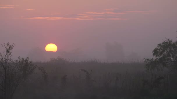 El humo al amanecer — Vídeos de Stock