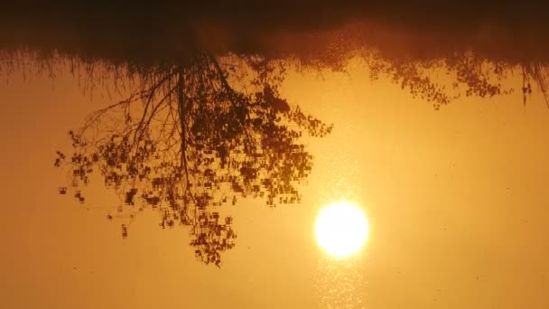 Sol en el agua — Vídeos de Stock