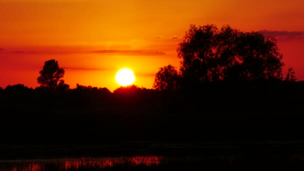 这条河上的颜色日落 — 图库视频影像