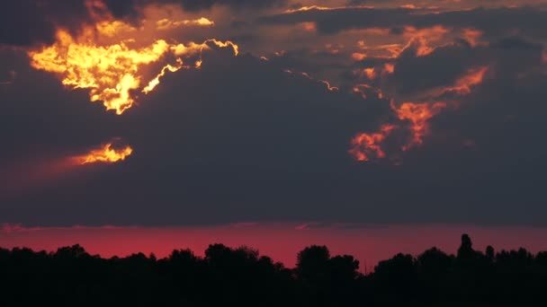 Barva slunce nad řekou — Stock video