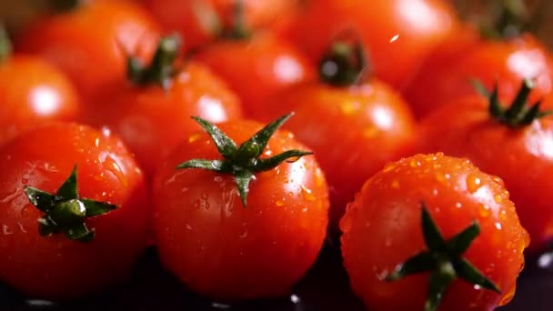 Hermosos tomates rojos con gotas de agua Macro 4k Video, verduras crudas orgánicas comida fresca de tomate cereza, dieta de desintoxicación tomate fresco. Cosecha ecológica en huerta, agricultura, agricultura — Vídeo de stock