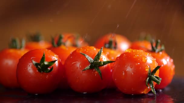 Pomodori rossi con gocce d'acqua, Macro 4k Video, alimenti biologici vegetali, Raccolta biologica in giardino, agricoltura, agricoltura — Video Stock