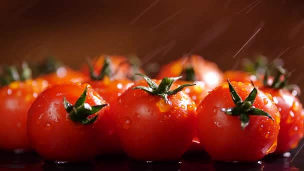 Pomodori rossi con gocce d'acqua, Macro 4k Video, alimenti biologici vegetali, Raccolta biologica in giardino, agricoltura, agricoltura — Video Stock