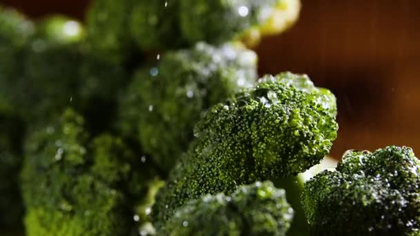 Brokkoli cseppek víz, gyönyörű makro 4k videó, Nyers bio élelmiszer zöldségek, Organikus betakarítás a kertben, gazdálkodás, mezőgazdaság — Stock videók