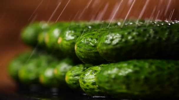 Güzel Salatalıklı Su Damlaları, Gıda 4k Videosu, Çiğ organik sebzeler, Bahçede Organik Hasat, Çiftçilik, Tarım — Stok video