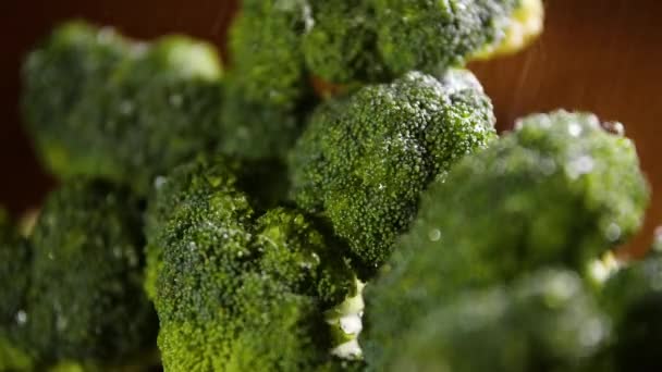 Brokkoli cseppek víz, gyönyörű makro 4k videó, Nyers bio élelmiszer zöldségek, Organikus betakarítás a kertben, gazdálkodás, mezőgazdaság — Stock videók