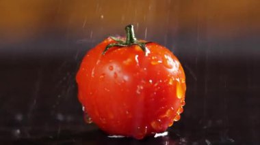Bir damla suyla domatesler, Güzel Makro 4k video, çiğ organik sebzeler, bahçedeki organik hasatlar, tarım, tarım...