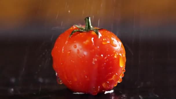 Tomates Con Gotas de Agua, Hermoso Macro 4k Video, Alimentos vegetales orgánicos crudos, Cosecha orgánica en el jardín, Agricultura, Agricultura — Vídeo de stock