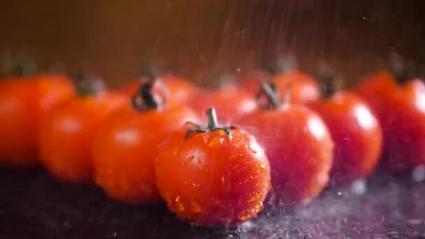 Pomodori con gocce d'acqua, Bella Macro 4k Video, Cibo di verdure biologiche crude, Raccolta biologica in giardino, Agricoltura, Agricoltura — Video Stock