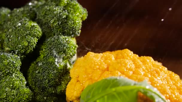 Kalafior i brokuły z kroplami wody, piękne wideo makro 4k, mieszanka warzyw, żywności ekologicznej. Zbiory w ogrodzie. Rolnictwo. Rolnictwo — Wideo stockowe