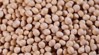 Çiğ soya fasulyesi, üst düzey doku, yüksek lif, ek gıda, protein sağlıklı yiyecek, soya fasulyesi organik, tohum.