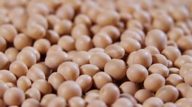 Çiğ soya fasulyesi, üst düzey doku, yüksek lif, ek gıda, protein sağlıklı yiyecek, soya fasulyesi organik, tohum.