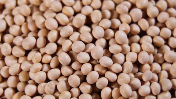 Raw soybean, top view texture ,High in fiber, supplementary food, Protein healthy food, soybeans organic, seeds — Stock Video