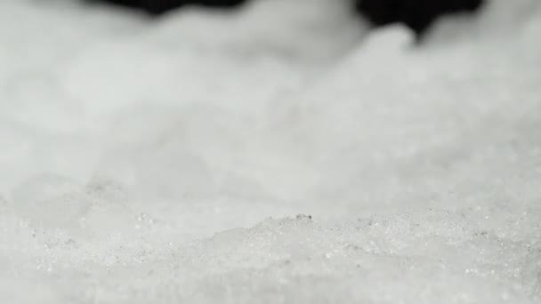 Sneeuw smelt, lente komt, macro timelapse shot van glanzende smeltende sneeuw, helder water, ijs seizoen — Stockvideo